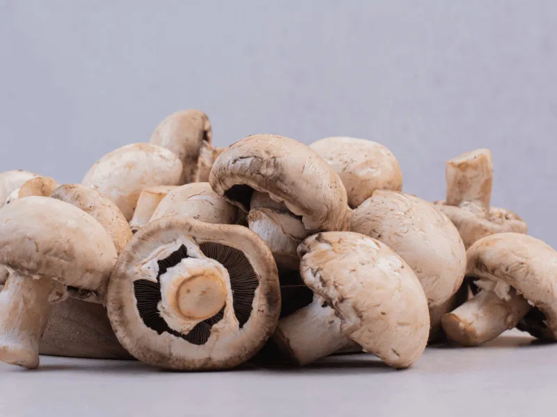 gorehabs_suspect-a-mushroom-overdose